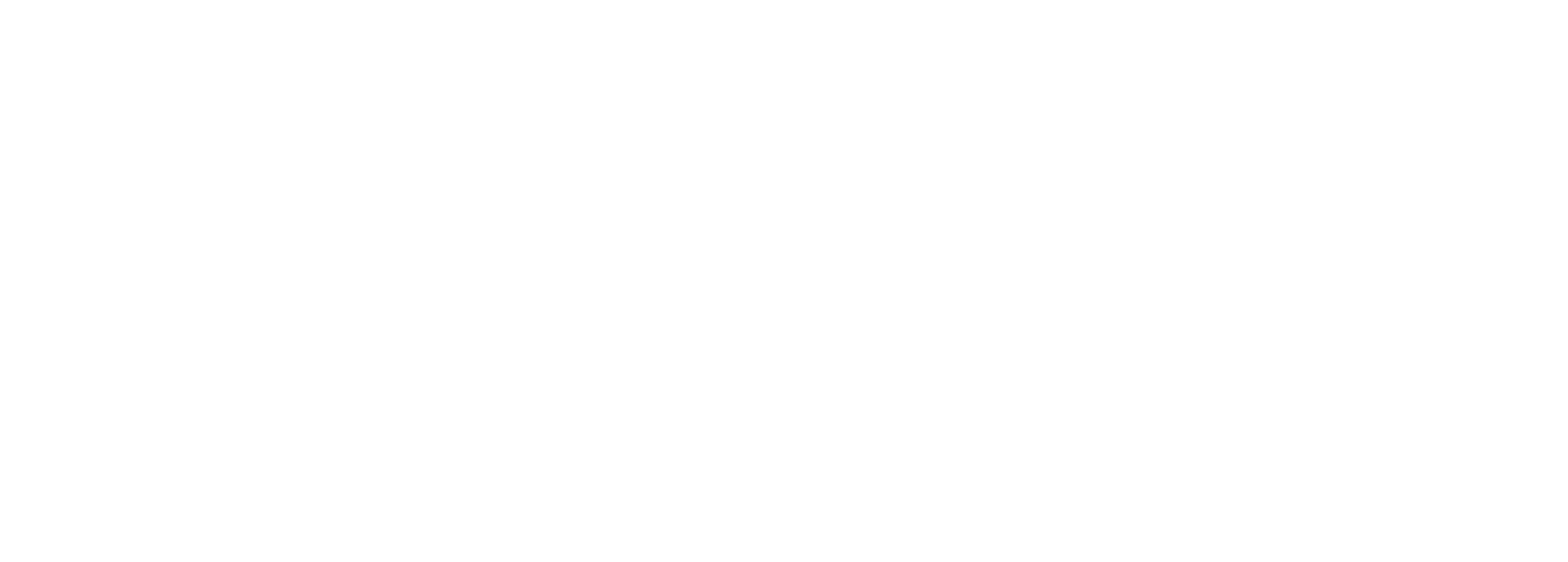 logo-turbus
