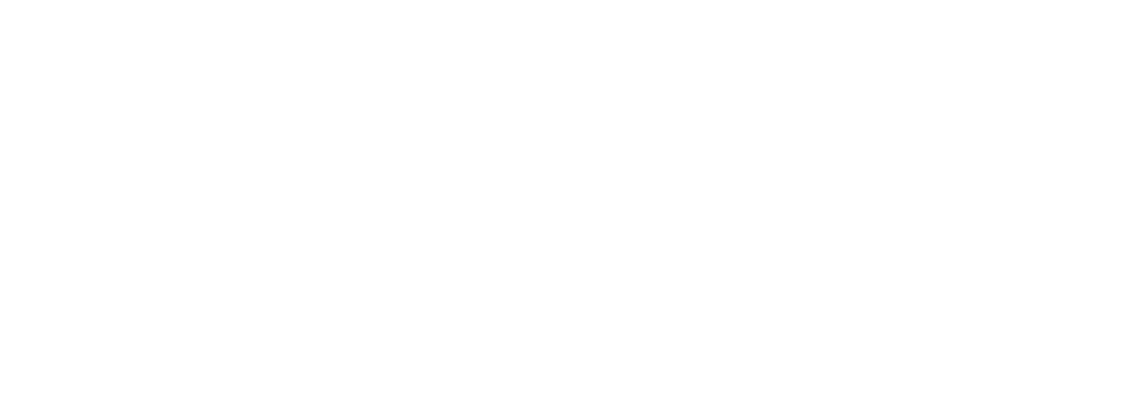 logos-biobio